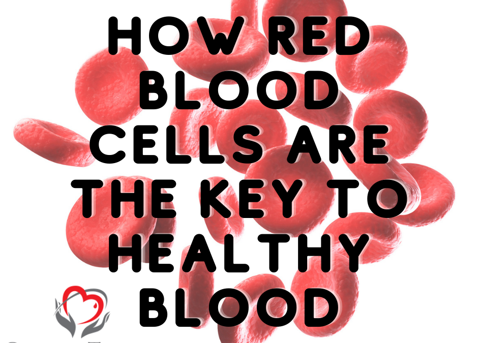How Red Blood Cells Are The Key To Healthy Blood